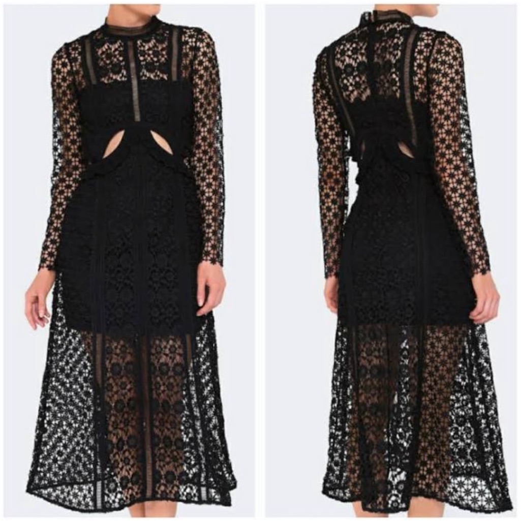 Nwot Self-Potrait Payne Lace Midi Dress